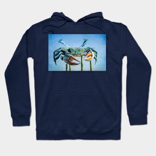 World's Largest Blue Crab Hoodie